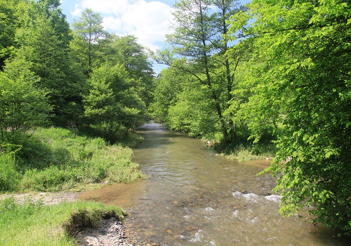 Hahnenbachtal Kurpfalz, Hunsrück
