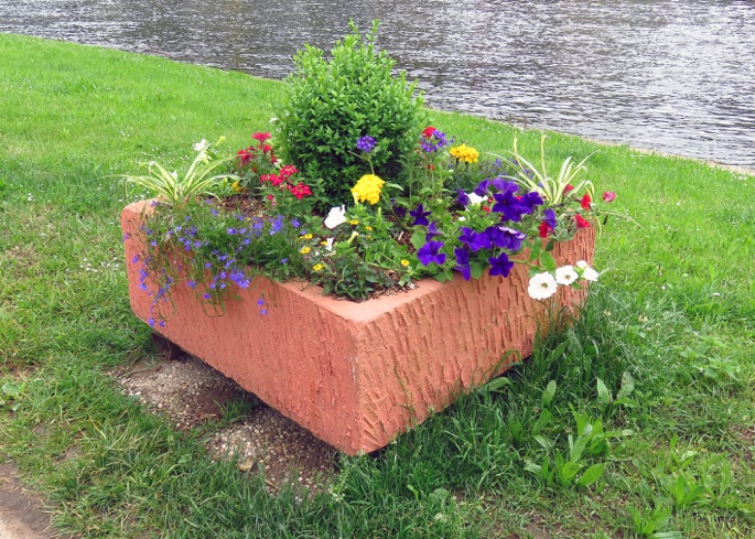 Blumen in Cochem an der Mosel