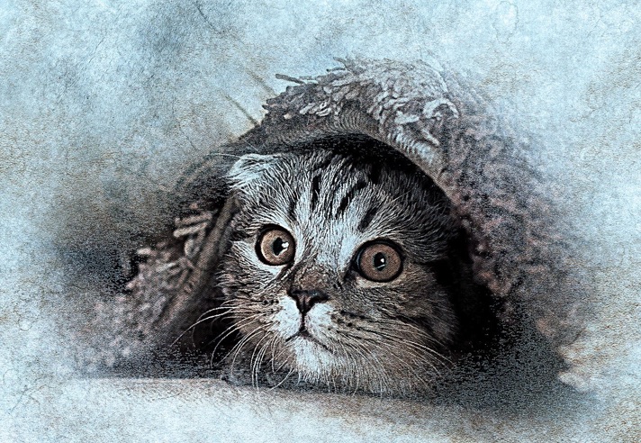 carlotta walzer syrakus handlungsort casparone