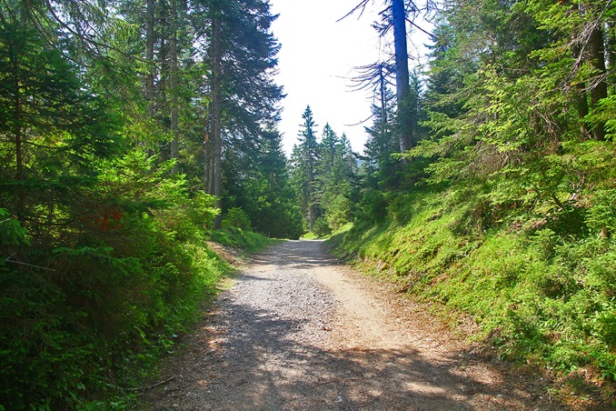 Am Hochrain (Katzenkopf), Weg nach Seefeld Tirol zur Hochmoosalm