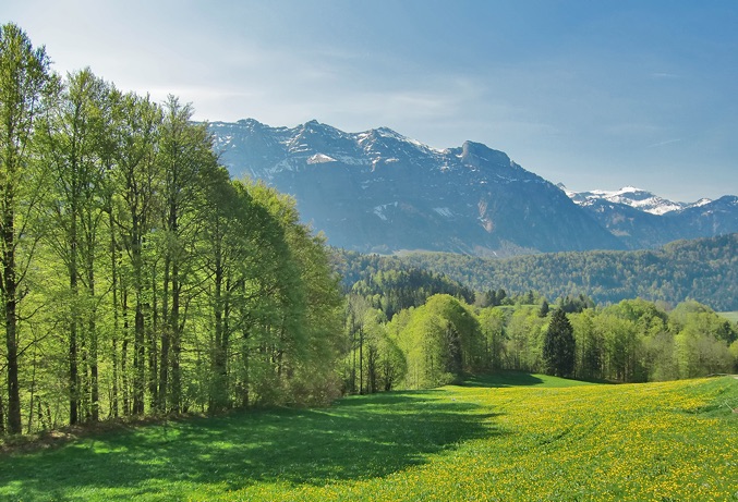 Bizau, Bregenzer Wald, Österreich