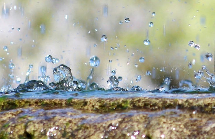 nun will der lenz uns grüssen