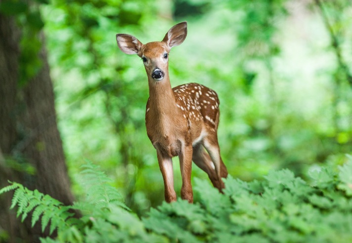 Wenns mailüfterl weht